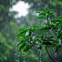 wzF-NreLOKc-channel-avatar-Morning rain ASMR