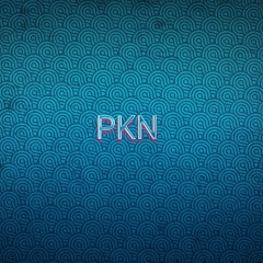 Noushad vengara // PKN
