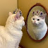 WSHZt7cnHlg-channel-avatar-猫meme大王