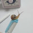 달순이 공부방 DalsoonStudy
