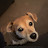 @EllieCheagleRetriever