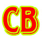 cricbuddy logo