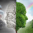 PihurANAASw-channel-avatar-Prakriti Savare Foundation 