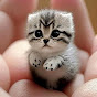 Miniature