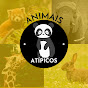 Animais Atípicos!