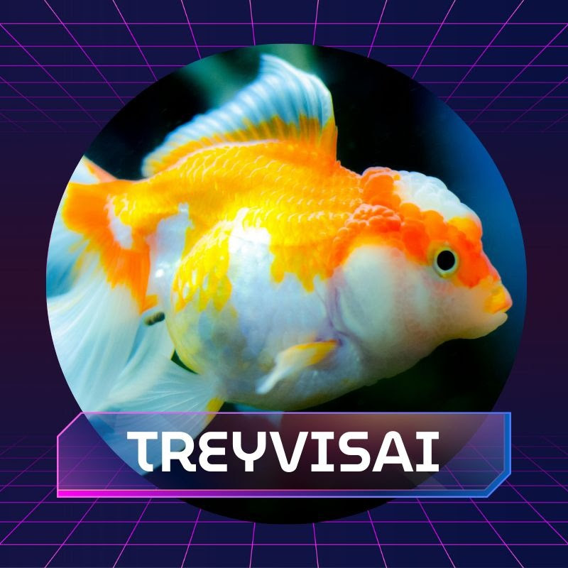 TREYVISAI DIVING