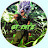 @GT_EDITZ009