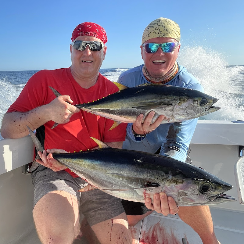 Bloodline Adventures