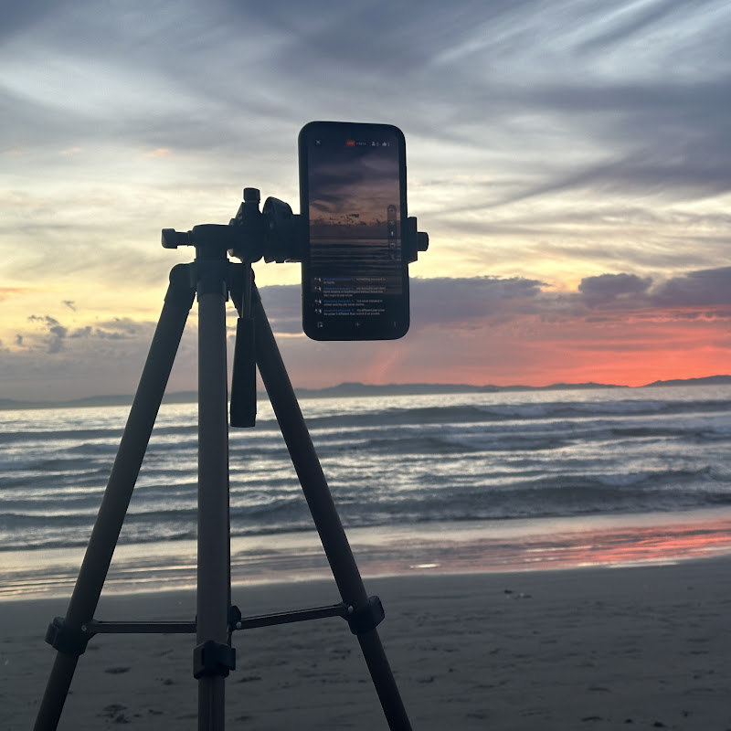 John Levingston Experience