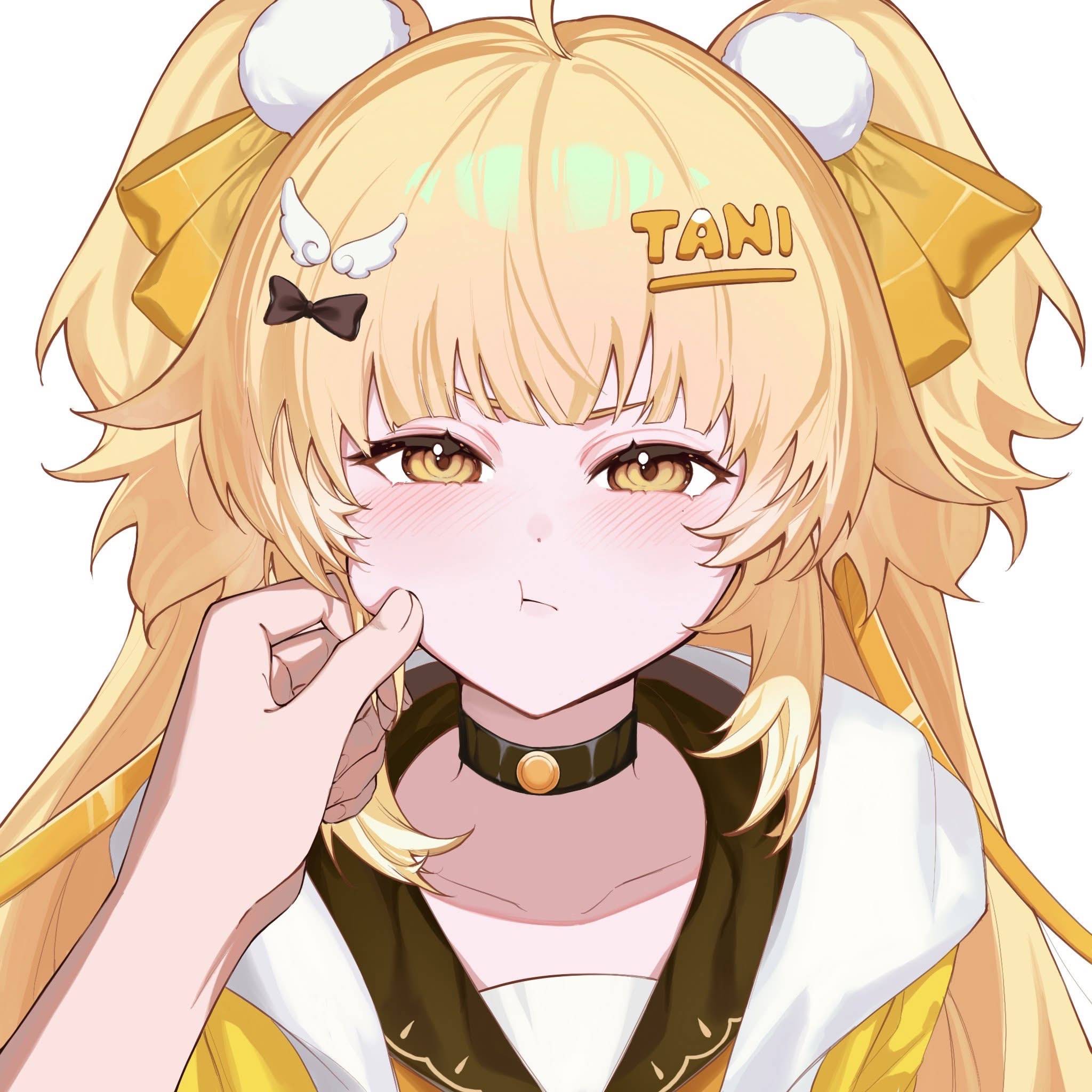Post from Tani Kami