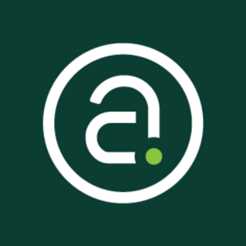 The Aluminum Association