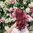 @HibaWahid-j7k
