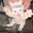 eTpcAURxAcU-channel-avatar-LARRY