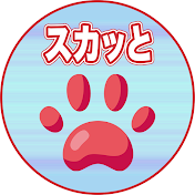 スカッとハイタッチ