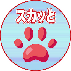 スカッとハイタッチ