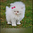 @عالمالنفس-ه1ب