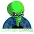 1ffDdnGCOhs-channel-avatar-Domin8rGaming