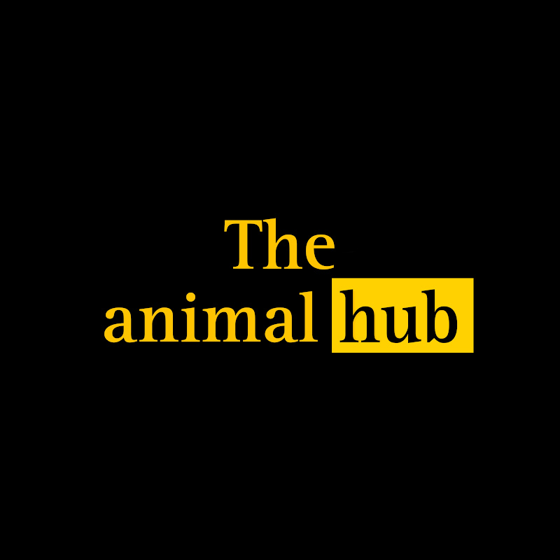 The Animal Hub
