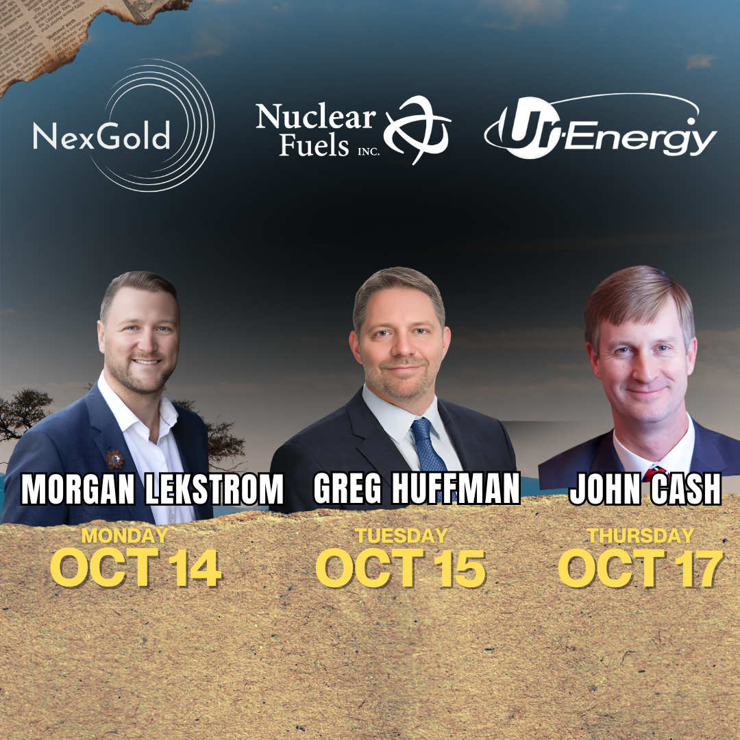 Post from CEO & Market Expert Interviews - triANGLE INVESTOR