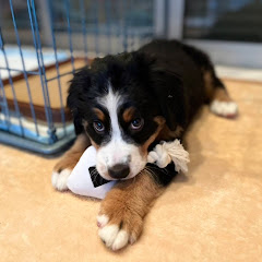 ららおチャンネル