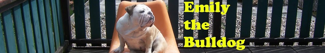 Emily the Bulldog Awatar kanału YouTube