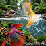 VlIpFi547fE-channel-avatar-Aqua World  Life 