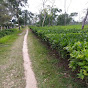 Assam tea garden logo