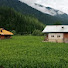 gy8-SDbgp1o-channel-avatar-Taobat My village 
