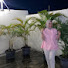 jad1p27ClJM-channel-avatar-Atiratul Jannah