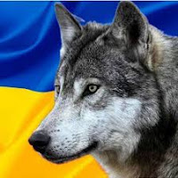 Украинский Волк profile image