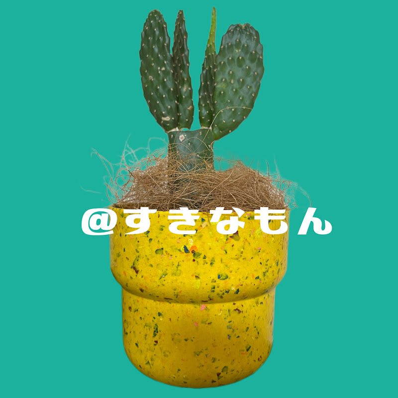 すきなもんちゅーぶ