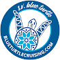 Blue Turtle Cruising logo