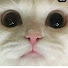 fjdlu2BUsyc-channel-avatar-ひよこ