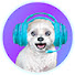 wtCQGghNlRU-channel-avatar-Chopsicle Gaming