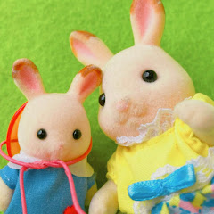 シルバニア日記 sylvaniandiary