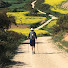 c0GlwwE6HMk-channel-avatar-Seniors Walking The Camino