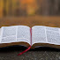 0b5oRwRaTa4-channel-avatar-REVELACIÓN DE LA BIBLIA