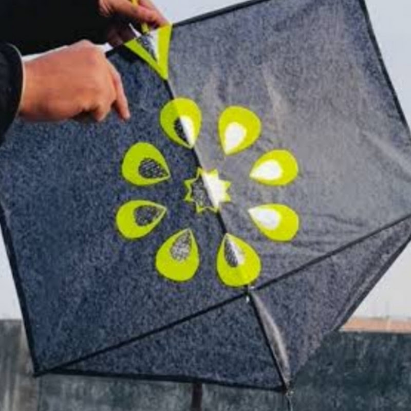 Brazil kite avatar