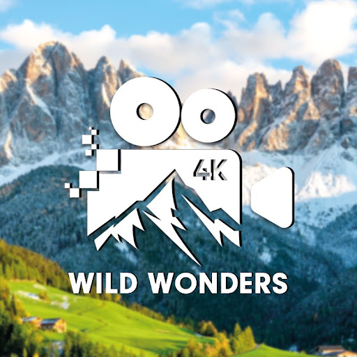 Wild Wonders 4k
