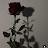 @AÿaMohamed-t5q7e