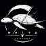 fZz1mnaYSL4-channel-avatar-White Tortuga
