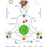 V3jJ4MpFr7k-channel-avatar-Sahaj Geet