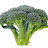 branch_tha_broccoli