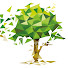 YbPd_UebK-Y-channel-avatar-Whyte Gardens - Landscape Design & Construction