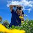 CDxq0b4L32g-channel-avatar-Lam Miniature