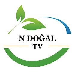 N Doğal TV 
