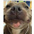 @Hazzy234-48 Avatar