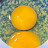 @mushroomEgg-ot4hy