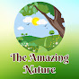 The Amazing Nature logo