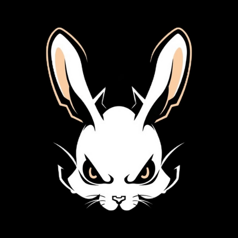 Dj Rabbit x_Invasion